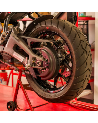 DUCATI PANIGALE V2/V2 S from 2025 - BLACK chain guard