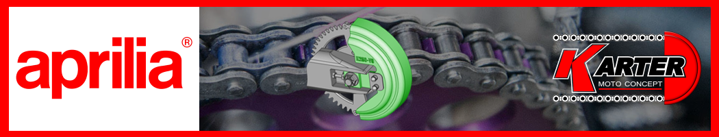 Chain guard for APRILIA DORSODURO 900