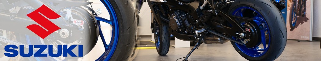 Chain guard for SUZUKI GSX-S 1000 GX