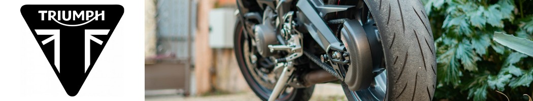 Chain guard for Triumph Streand Triple 675 and 675 R until 2013