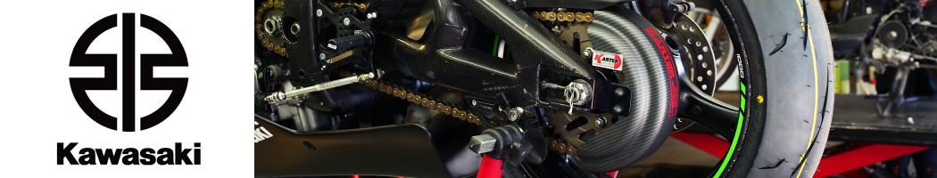 KAWASAKI ER6N/F from 2009 to 2011 Chain guard