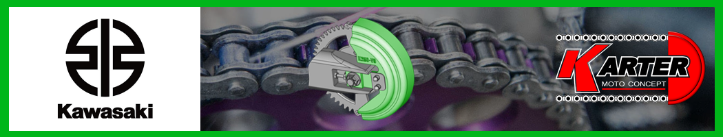 KIT Chain guard for KAWASAKI ZX-10RR